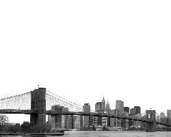 Piła ubezpieczenie rolincze