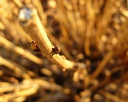 Pila ubezpieczenie na zycie