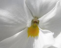 ubezpieczenie samochodu Piła