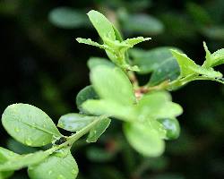 Piła ubezpieczenia majątku