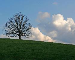 Piła ubezpieczenie na życie