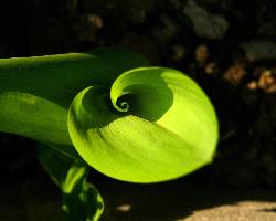 ubezpieczenie na życie Piła