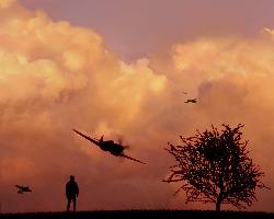 Piła ubezpieczenia rolincze