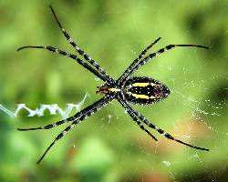 ubezpieczenia zdrowia Piła