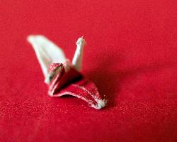 ubezpieczenia na życie w Pile