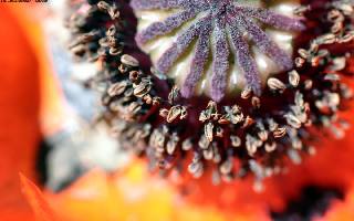 prywatne ubezpieczenia Piła