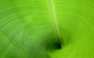 ubezpieczenie na życie Piła