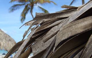 ubezpieczenie na życie w Pile