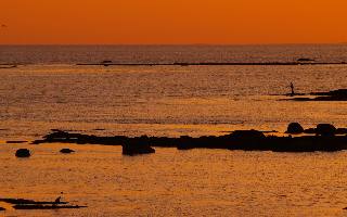 ubezpieczenia rodzinne w Pile