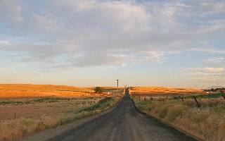 Pila ubezpieczenie majatku