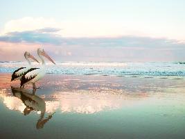 dobre najlepsze ubezpieczenia dla pracowników Piła