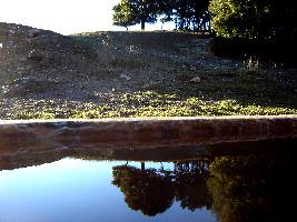 ubezpieczenia na życie w Pile