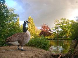 Pila ubezpieczenia mieszkania