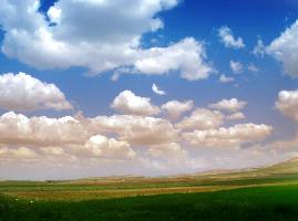 ubezpieczenie samochodu w Pile