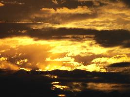 prywatne ubezpieczenia Piła