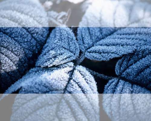 firma ubezpieczenia Piła