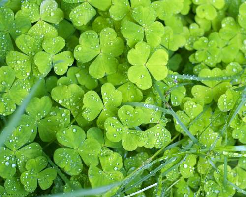 tanie ubezpieczenia w Pile