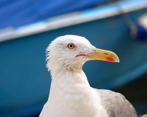 ubezpieczenia mieszkania Pila