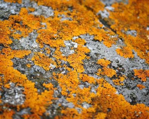 ubezpieczenia rodzinne Pila