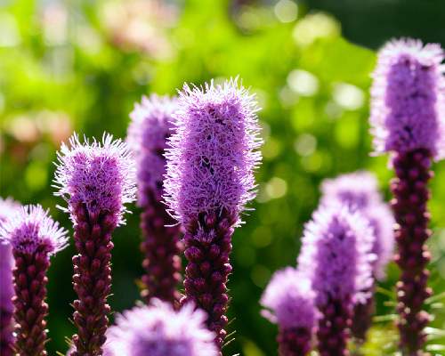 Piła ubezpieczenia mieszkań