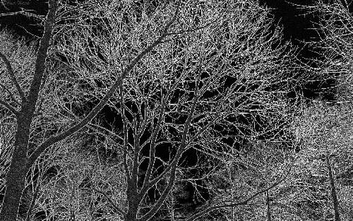 Piła tanie ubezpieczenia