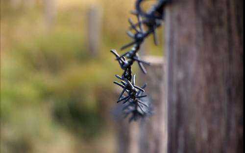 cennik ubezpieczenia grupowe Pila