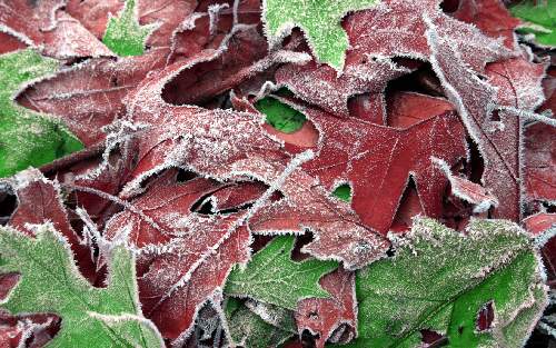 ubezpieczenia zdrowotne Piła ceny