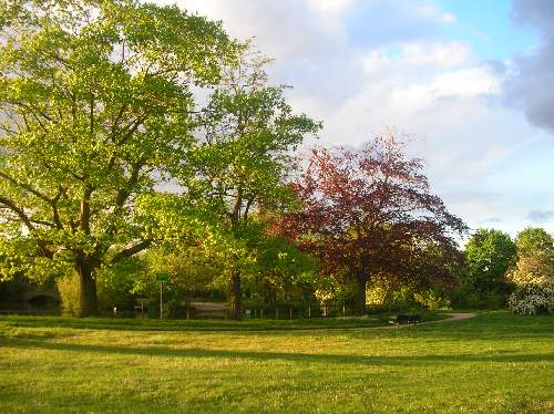 Piła ubezpieczenie domów