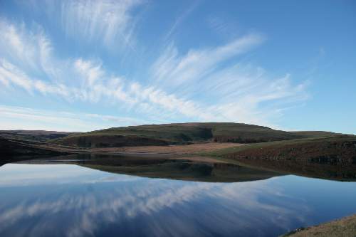 ubezpieczenie Pila cena