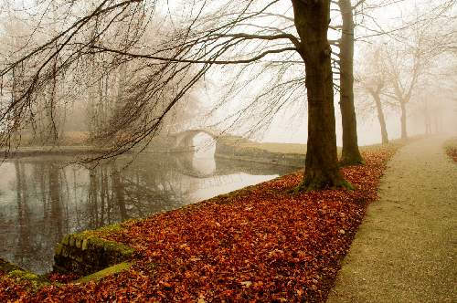 ubezpieczenia grupowe Piła ceny