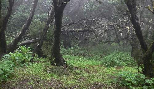 tanie ubezpieczenia Piła