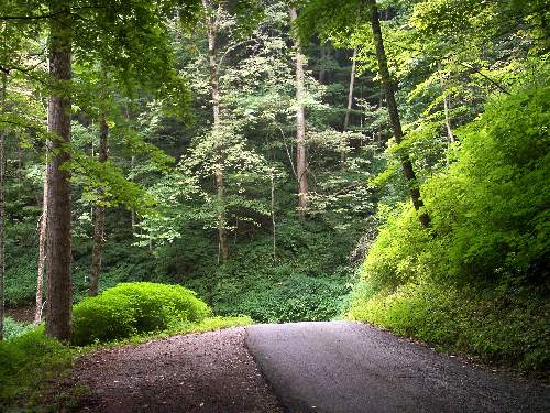 tanie ubezpieczenie Piła