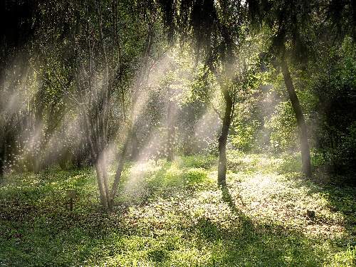 ubezpieczenia zdrowotne Pila