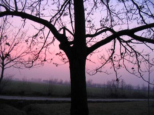 ubezpieczenie minicasco w Pile