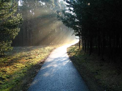 ubezpieczenia Pila ceny