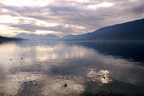 Pila ubezpieczenia samochodu