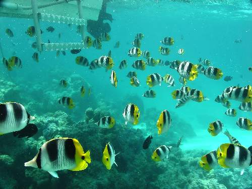 ubezpieczenie majątku Piła