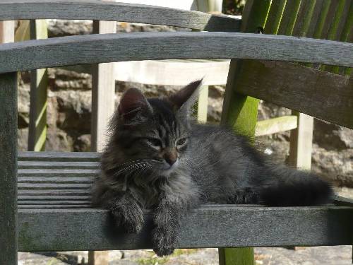 PZU grupowe ubezpieczenie w Pile