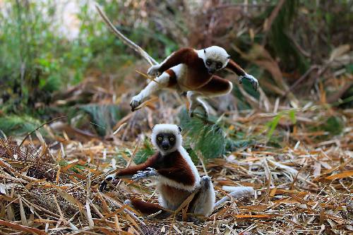 ubezpieczenia Piła cena