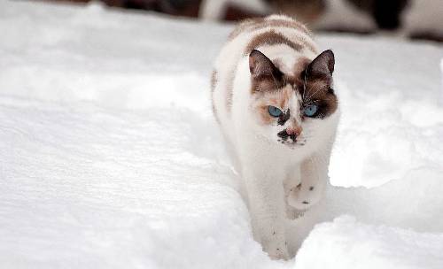 Piła ubezpieczenie zdrowotne PZU cennik