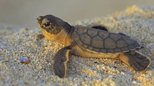 ubezpieczenie samochodow Pila