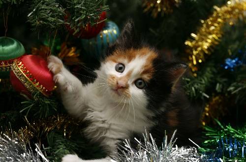 ceny ubezpieczeń turystycznych Pila