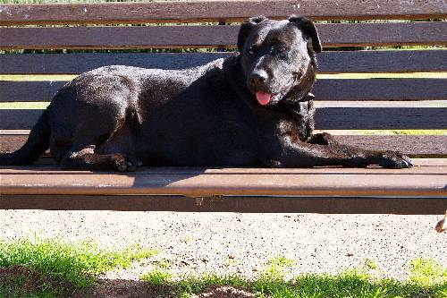 ubezpieczenie samochodow w Pile