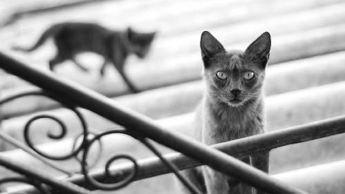 ubezpieczenie domow w Pile