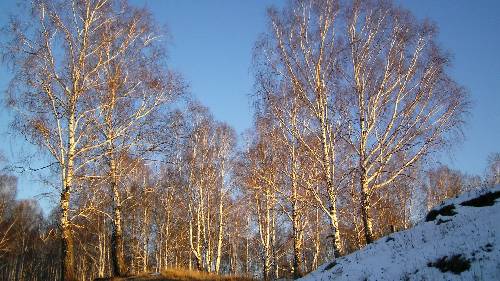 PZU życie Piła ubezpieczenia