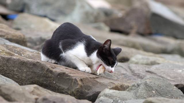 tanie ubezpieczenia Piła