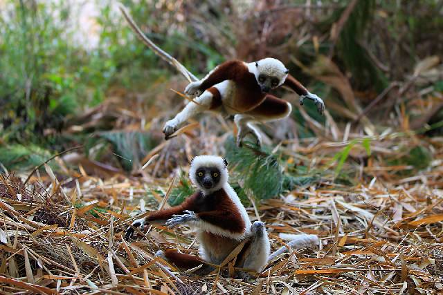 Piła ubezpieczenia grupowe pracowników